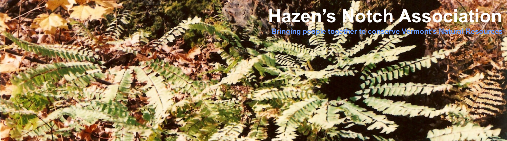 Hazen's Notch Association