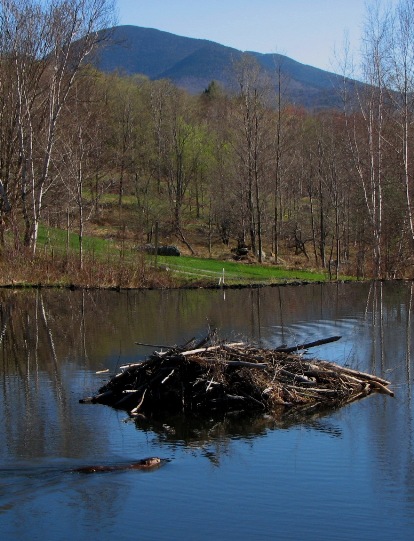 High Ponds Farm, Hazen's Notch Conservation Lands, Montgomery Center, VT