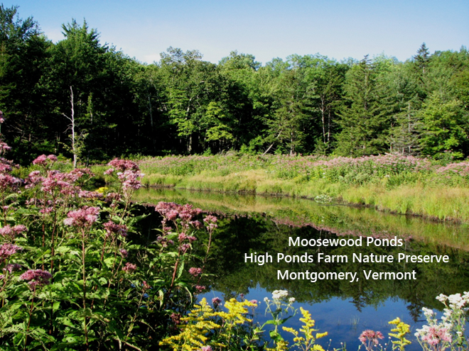 Moosewood Ponds, High Ponds Farm, Montgomery, Vermont